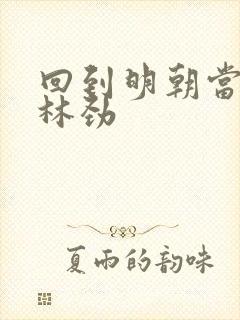 回到明朝当王爷林劲