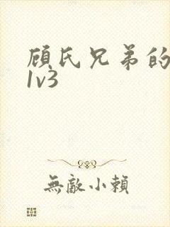 顾氏兄弟的南宁1v3