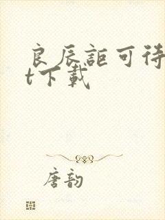 良辰讵可待txt下载