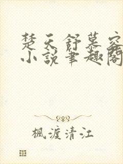 楚天舒慕容江月小说笔趣阁