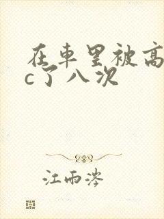 在车里被高潮被c了八次