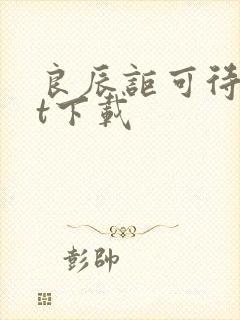 良辰讵可待txt下载