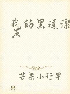 我的黑道洁癖男友