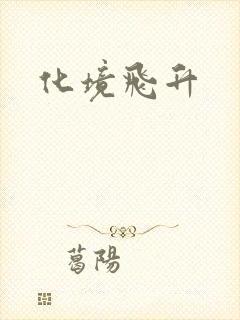 化境飞升
