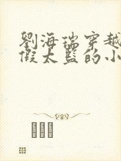 刘海瑞穿越后宫假太监的小说