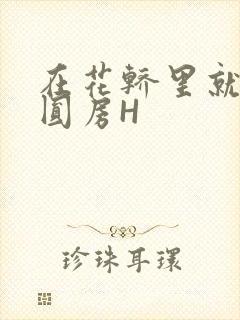 在花轿里就开始圆房H