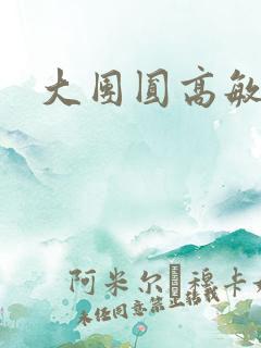 大团圆高敏