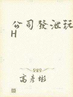 公司发泄玩具lH