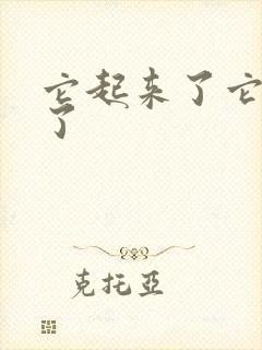 它起来了它想你了