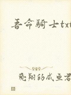 吾命骑士txt