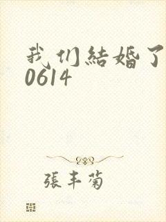 我们结婚了130614