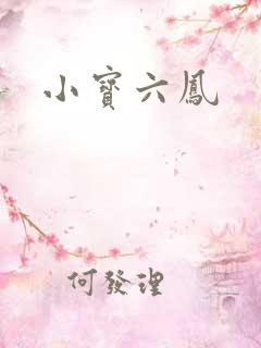 小宝六凤