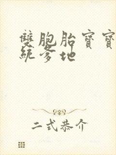 双胞胎宝宝的总统爹地