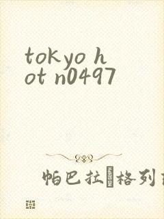 tokyo hot n0497