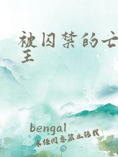 被囚禁的亡国公主