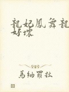 龙妃凤舞龙王你好坏