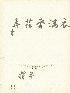 弄花香满衣txt
