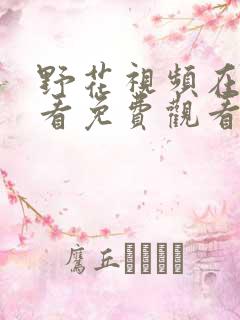 野花视频在线观看免费观看最新章节