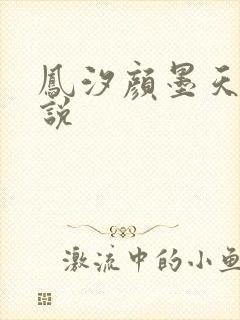 凤汐颜墨天问小说