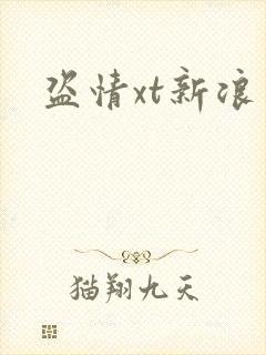 盗情xt新浪