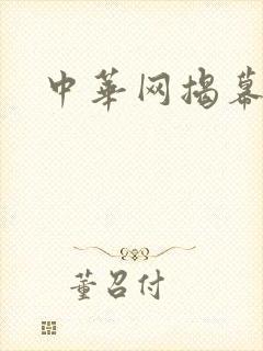 中华网揭幕内参