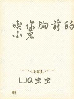 吃你胸前的两只小兔