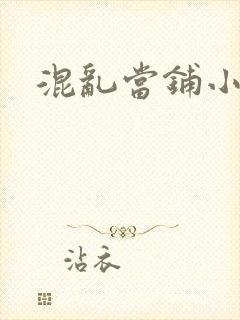 混乱当铺小说