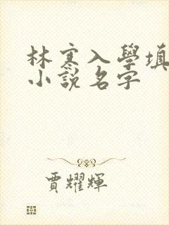 林寒入学填未婚小说名字