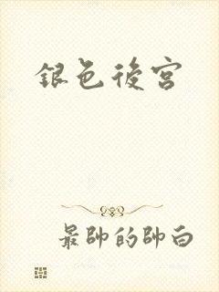 银色后宫