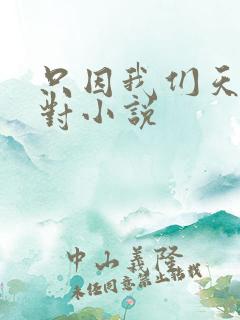 只因我们天生一对小说