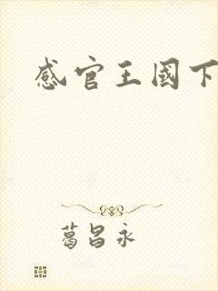 感官王国下载