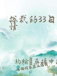 总裁的33日索情