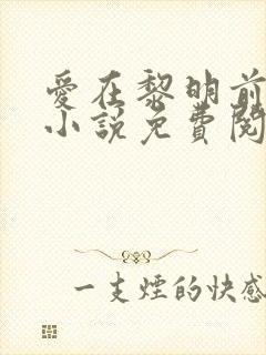 爱在黎明前降落小说免费阅读