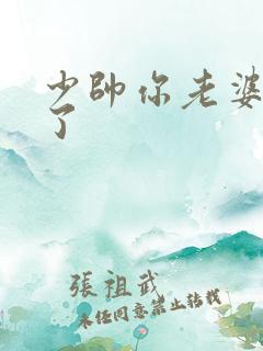 少帅你老婆又跑了