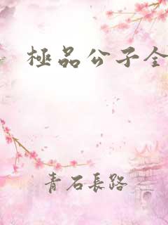 极品公子全集