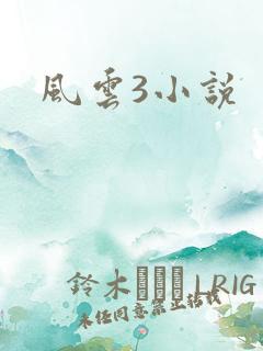 风云3小说