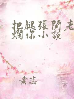 把腿张开老子臊烂你小说