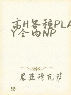 高H各种PLAY全肉NP