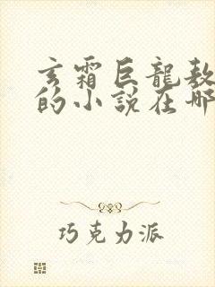 玄霜巨龙敖无极的小说在哪里看