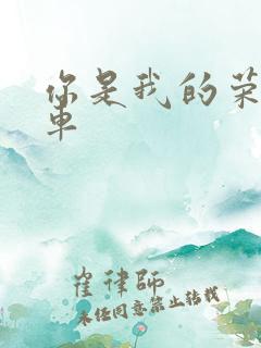 你是我的荣耀肉车