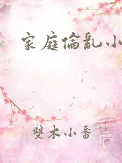 家庭伦乱小说