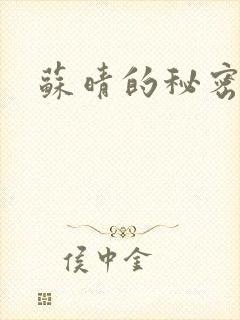 苏晴的秘密小说