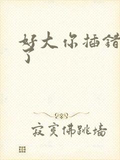 好大你插错地方了