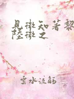 见微知著黎见卿陆微之