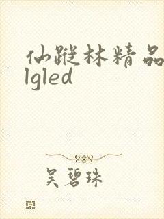 仙踪林精品zzlgled