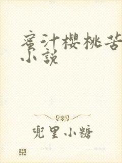 蜜汁樱桃苦咖啡小说