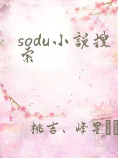 sodu小说搜索