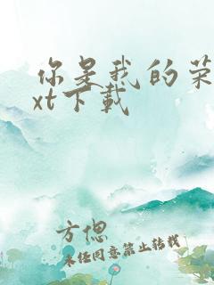 你是我的荣耀txt下载