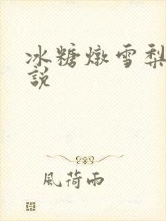 冰糖炖雪梨 小说