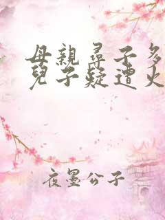 母亲寻子多年 儿子疑遭火车撞击身亡